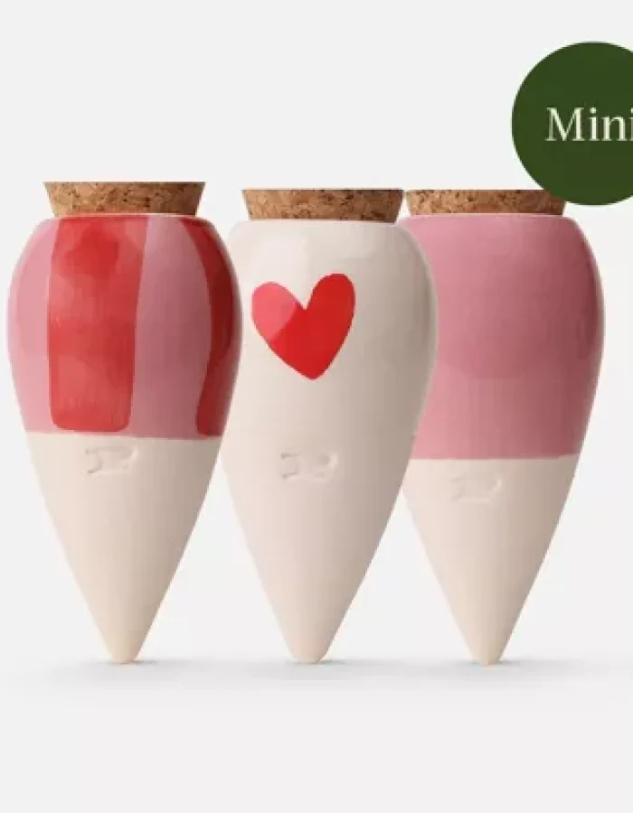 Coffret Trio Mini Olla – les Lovers