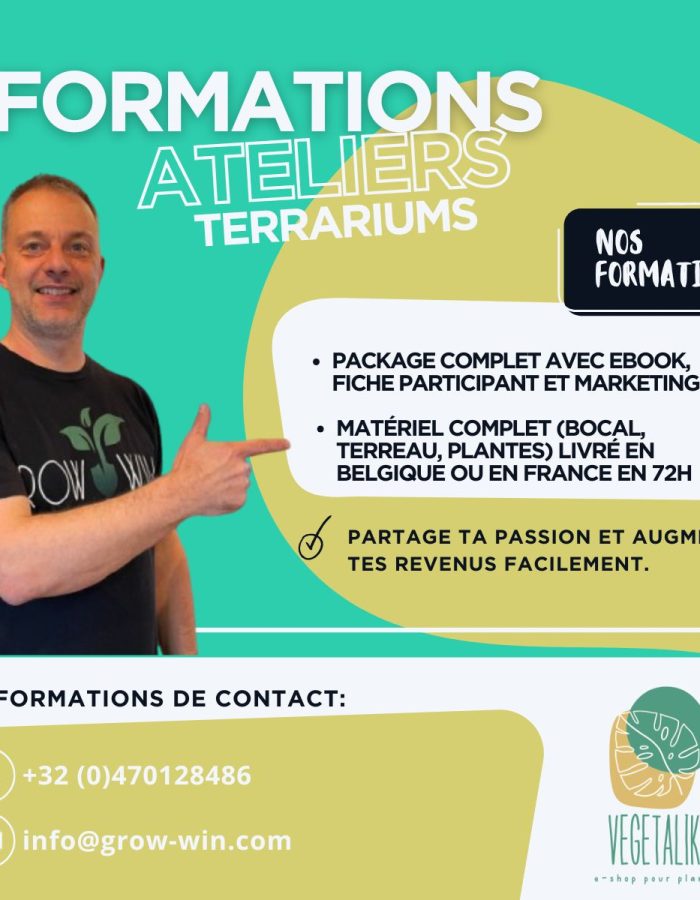 Formation animateur d’atelier terrarium